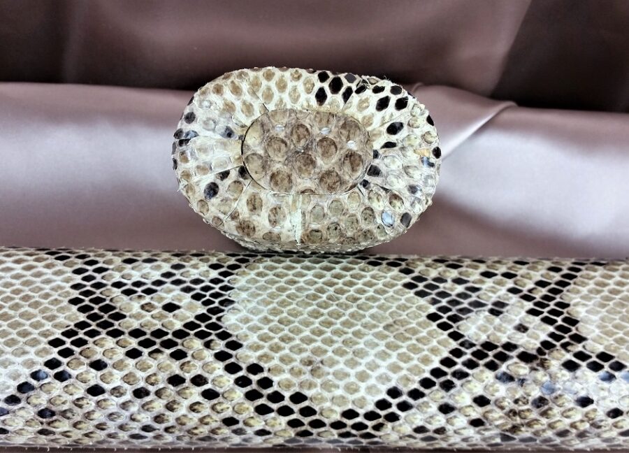 Engles Python 1x2 - Image 10
